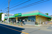 いなげやina21調布染地店